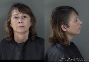 Paula Ann Wells Mugshot