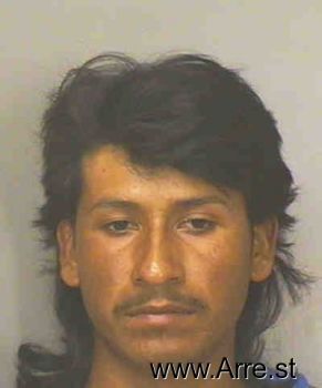 Paulino  Pena Mugshot