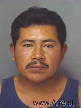 Pedro  Gonzalez Mugshot