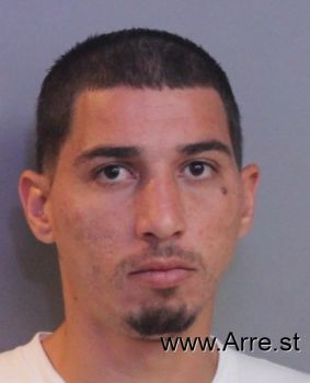 Pedro Luis Rivera-roche Mugshot