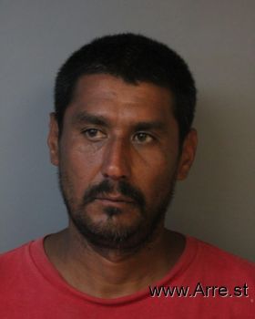 Pedro  Rodriguez Mugshot