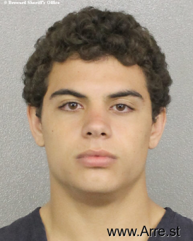 Preston Michael Borges Mugshot