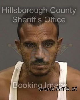 Rene  Gonzalez Mugshot