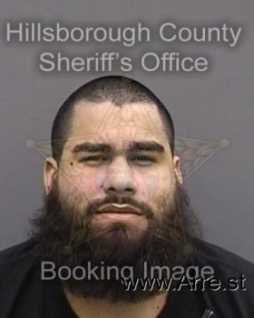 Ricardo  Hernandez Medina Mugshot