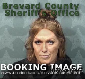 Rachel Lyn Barnes Mugshot