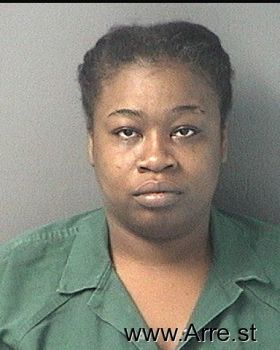 Rachel Lafaye Johnson Mugshot