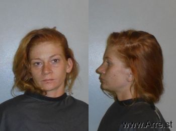 Rachel Tiffany Nageldinger Mugshot