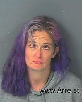 Rachel Ann Stonerock Mugshot