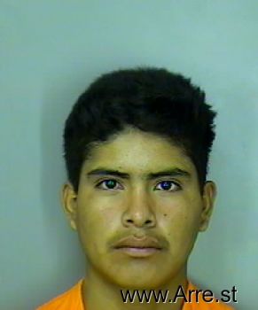 Ramon  Ortega Mugshot