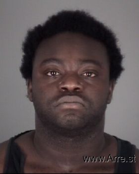 Randy Michael Williams Mugshot