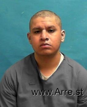 Raul  Diaz Mugshot