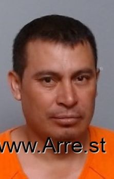 Raul  Sanchez Munoz Mugshot