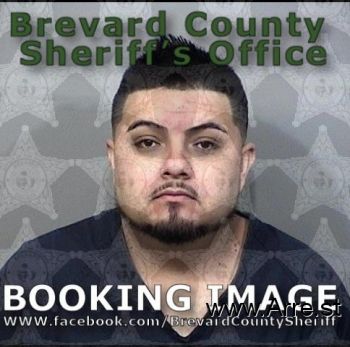 Raul  Vega-perrusquia Mugshot