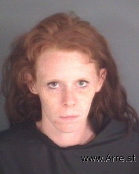 Rebecca Lynn Fisher Mugshot