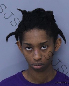 Renae Denise Wilson Mugshot