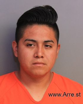 Rene  Floresdejesus Mugshot