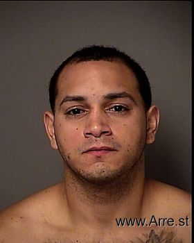 Ricardo Javier Cruz-negron Mugshot