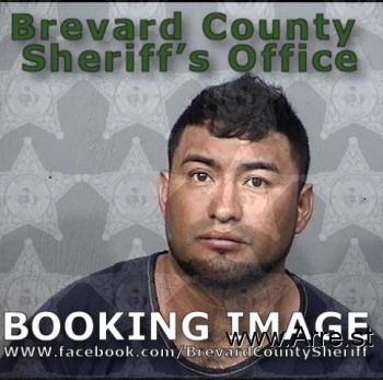 Ricardo  Dominguez Morales Mugshot