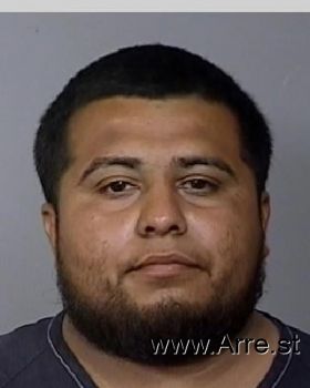 Ricardo  Gonzalez Mugshot