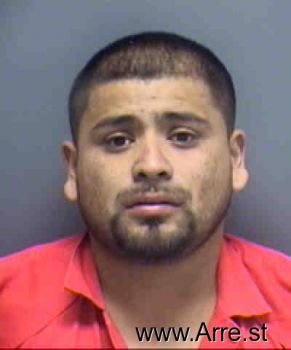 Ricardo  Hernandez-sanchez Mugshot