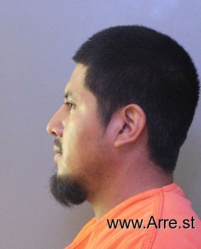 Ricardo  Hernandez Pascu Mugshot