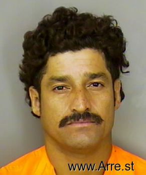 Ricardo  Pizano Mugshot