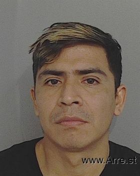 Ricardo  Ramirez-becerra Mugshot