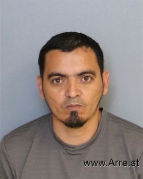 Richard  Delgado-diaz Mugshot