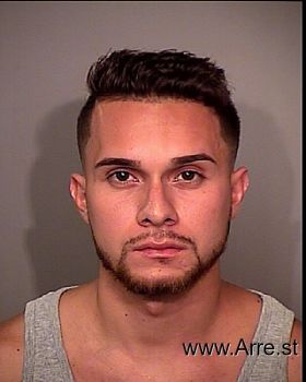 Robert Maxi Guerrero-landaeta Mugshot