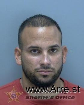 Roberto Enrique Reyes Palomino Mugshot