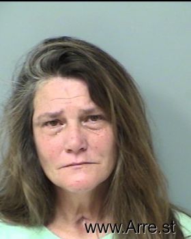 Robin Darlene Hayes Mugshot