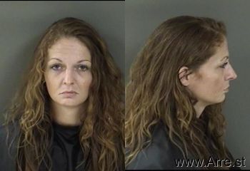 Robin Sandra Holcombe Mugshot