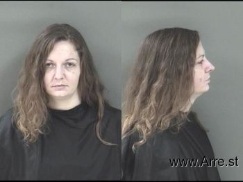 Robin Sandra Holcombe Mugshot