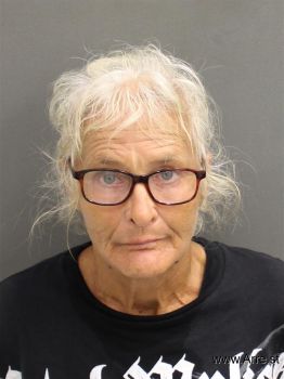 Robin Nell Jones Mugshot