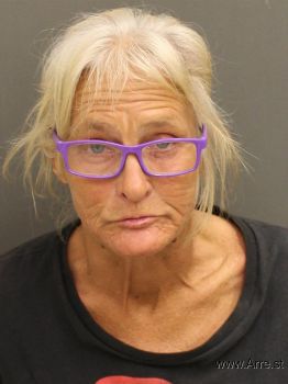 Robin Nell Jones Mugshot