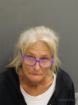 Robin Nell Jones Mugshot