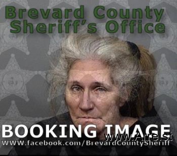 Robin Marie King Mugshot