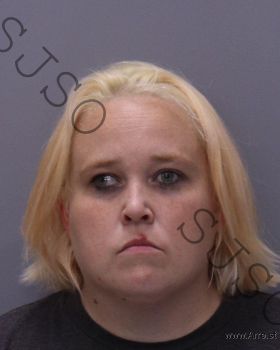 Robin Ann Phillips Mugshot