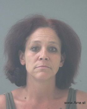 Robyn Marie Meyer Mugshot