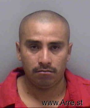 Rodrigo  Hernandez Mugshot