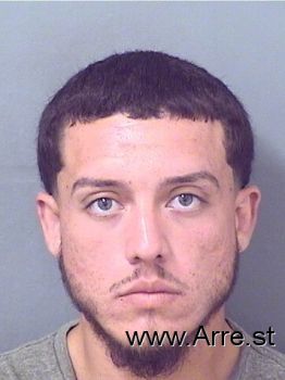 Rodrigo Javier Hernandezbenitez Mugshot