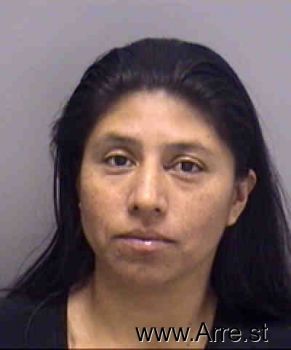 Rosa  Hernandez-domingo Mugshot