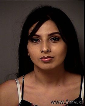 Rosa Lizbeth Lopez-castillo Mugshot