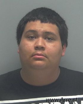 Rudy Job Lujan-castro Mugshot