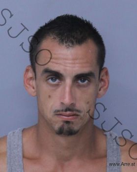 Ryan James Brown Mugshot