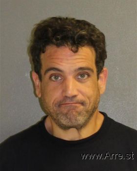 Ryan  Camporese Mugshot