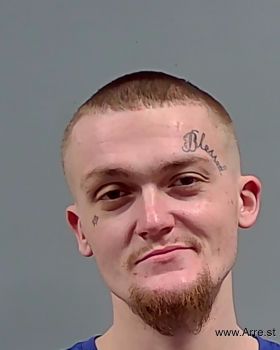 Ryan Aaron Louis Parrish Mugshot