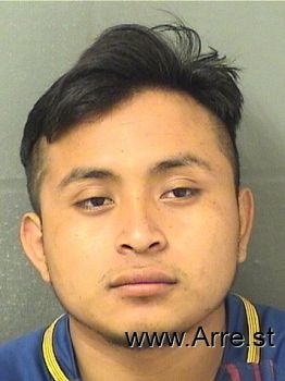 Samuel  Ortizordonez Mugshot