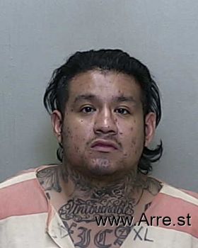 Ivan Trinidad Sanchez-alvarado Mugshot