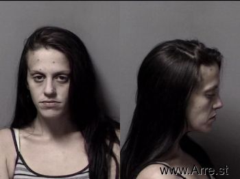 Sara Evelyn Brandon Mugshot